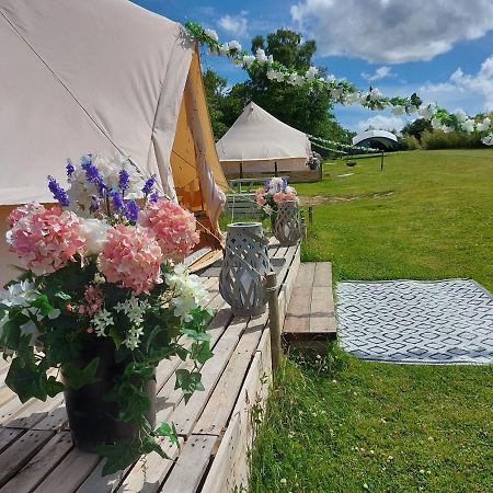 Hopgarden Glamping - Luxury 6M Bell Tent Wadhurst Екстер'єр фото