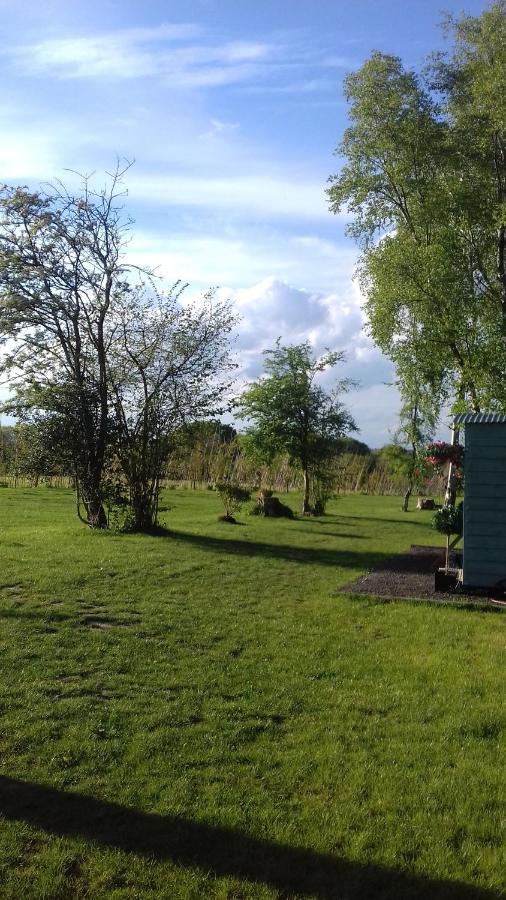 Hopgarden Glamping - Luxury 6M Bell Tent Wadhurst Екстер'єр фото