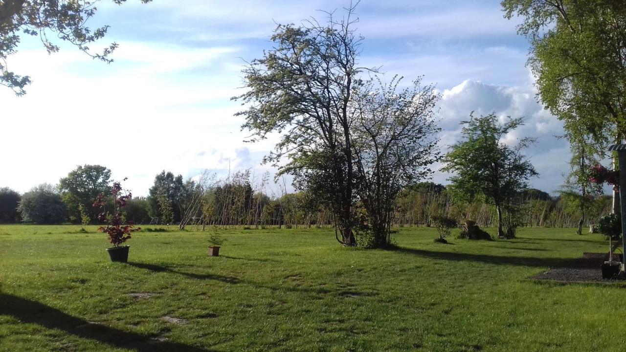 Hopgarden Glamping - Luxury 6M Bell Tent Wadhurst Екстер'єр фото