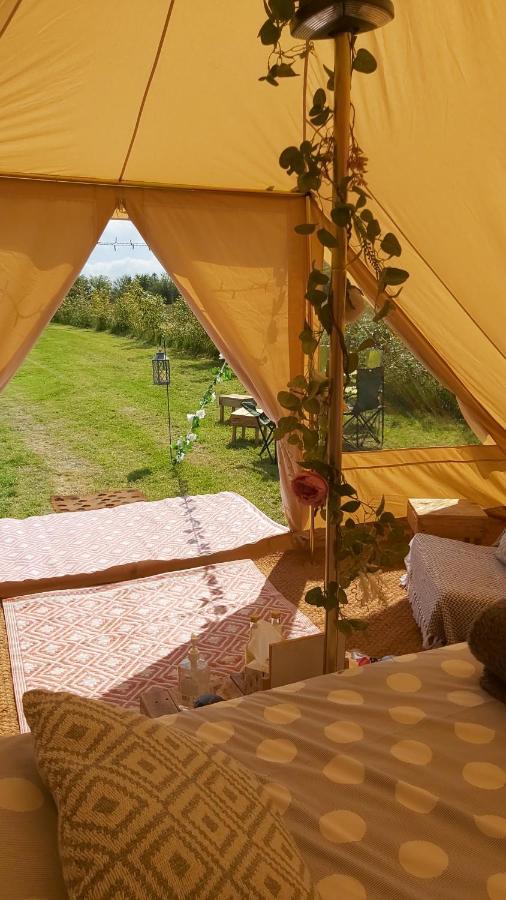 Hopgarden Glamping - Luxury 6M Bell Tent Wadhurst Екстер'єр фото