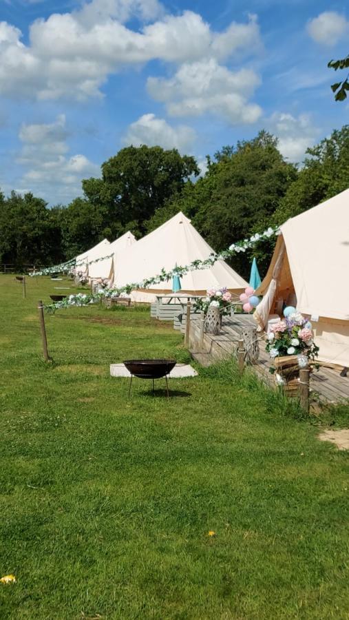 Hopgarden Glamping - Luxury 6M Bell Tent Wadhurst Екстер'єр фото