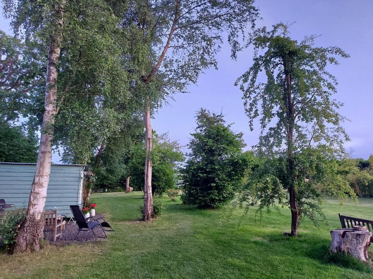 Hopgarden Glamping - Luxury 6M Bell Tent Wadhurst Екстер'єр фото
