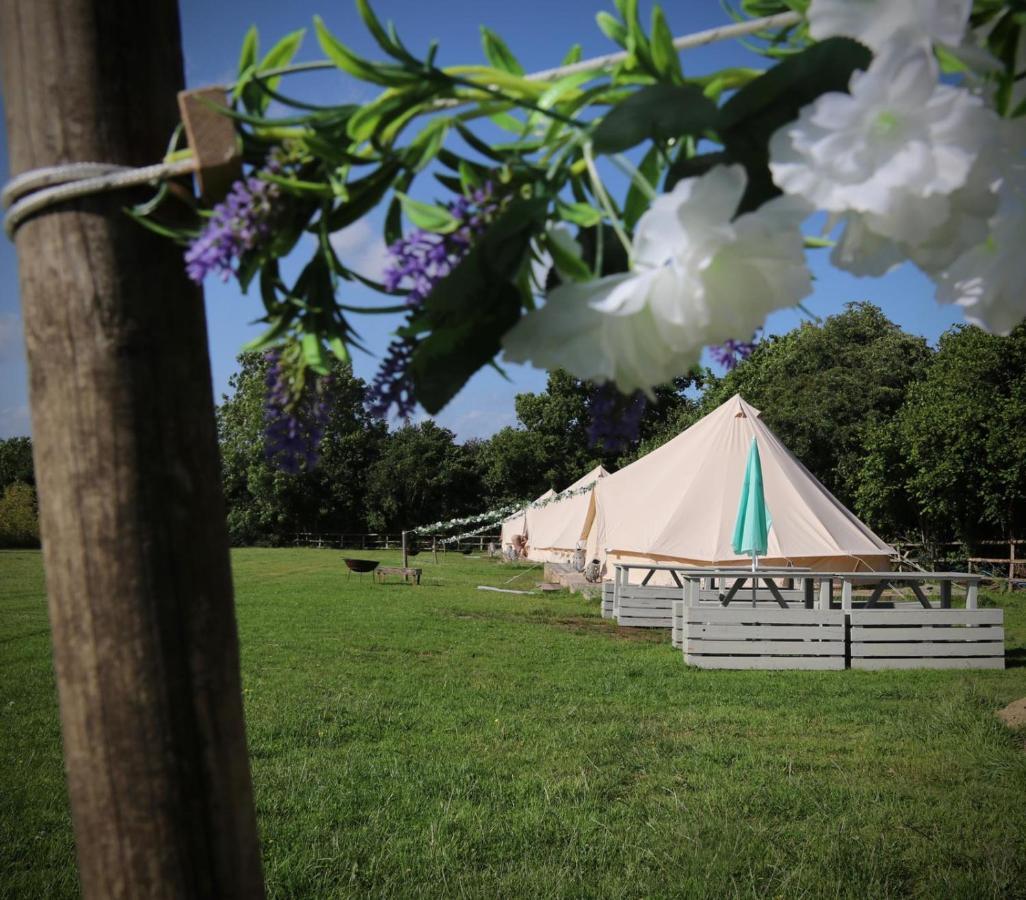 Hopgarden Glamping - Luxury 6M Bell Tent Wadhurst Екстер'єр фото